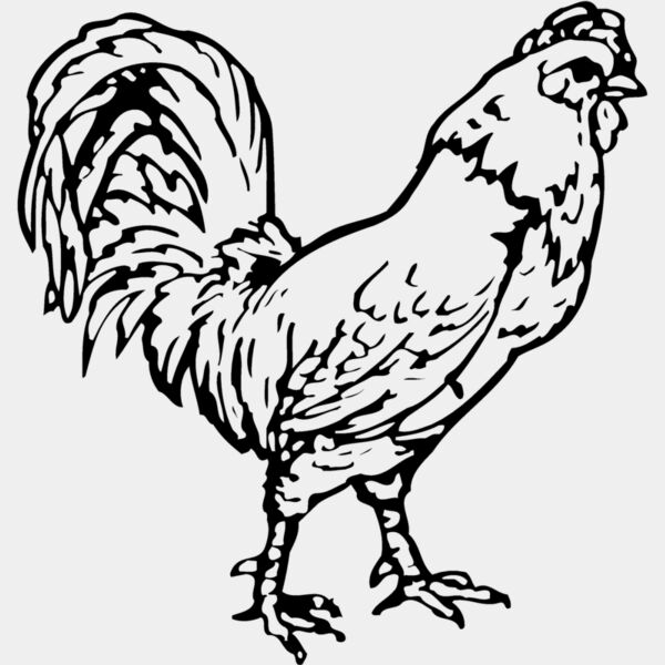CHICK019 Thumbnail