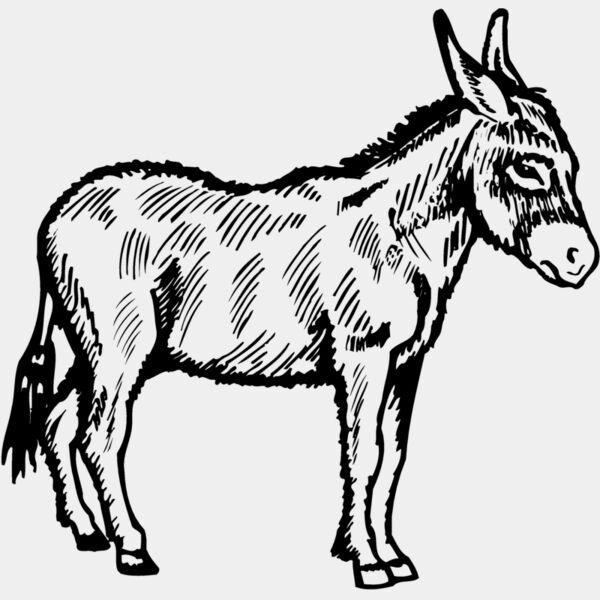 BURRO006 Thumbnail