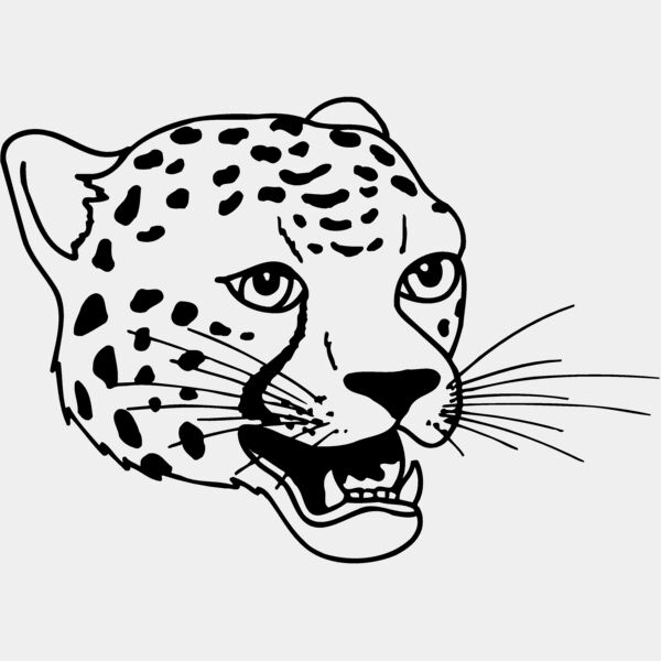CAT14 Thumbnail