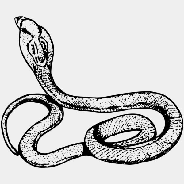 SNAKE014 Thumbnail