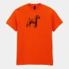 Heavy Cotton™ t-shirt Thumbnail