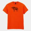 Heavy Cotton™ t-shirt Thumbnail
