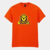 Heavy Cotton™ t-shirt Thumbnail