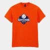 Heavy Cotton™ t-shirt Thumbnail