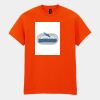 Heavy Cotton™ t-shirt Thumbnail