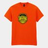 Heavy Cotton™ t-shirt Thumbnail