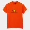 Heavy Cotton™ t-shirt Thumbnail