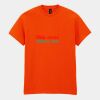 Heavy Cotton™ t-shirt Thumbnail