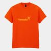 Heavy Cotton™ t-shirt Thumbnail